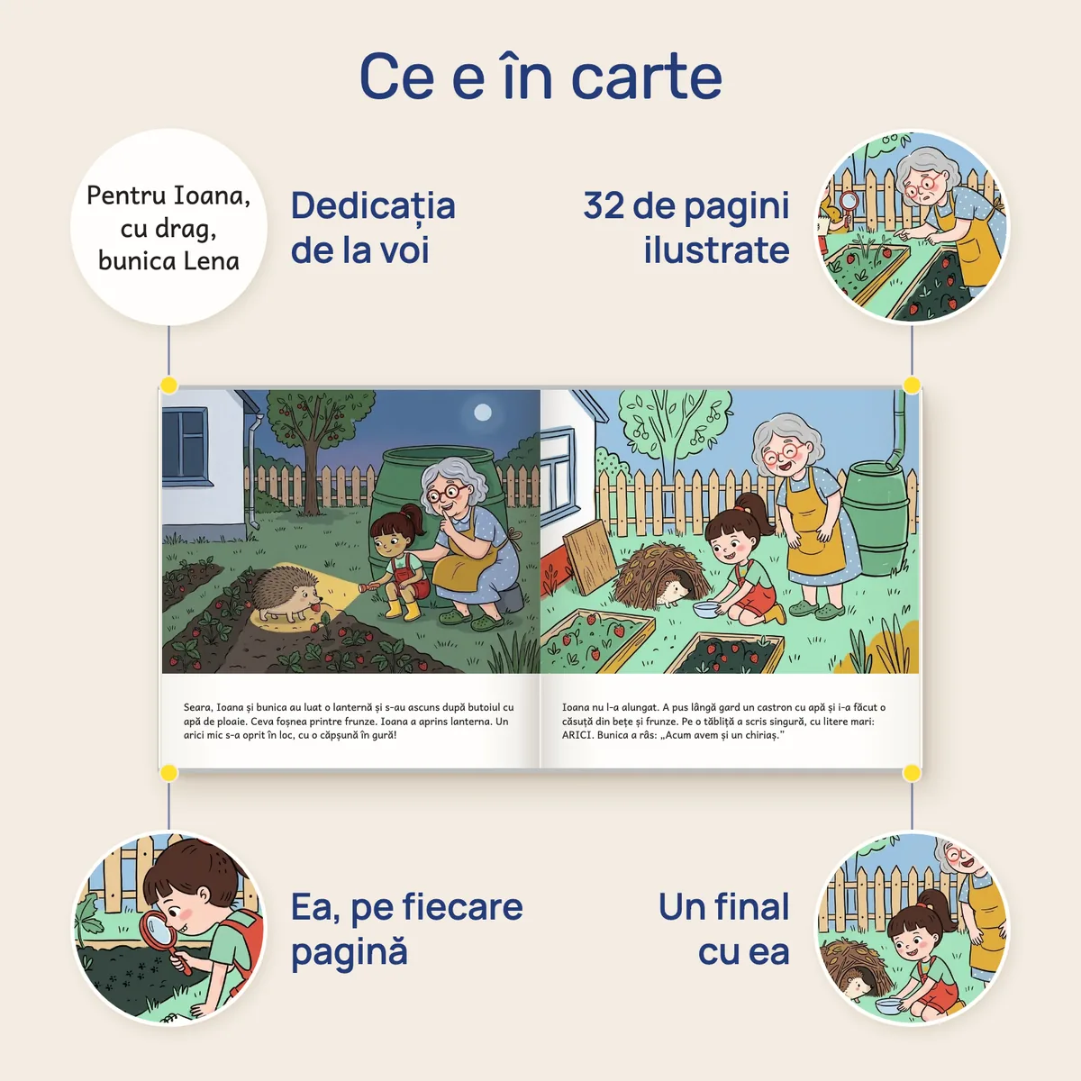 Ce e în carte: dedicația de la voi, paginile ilustrate, ea pe fiecare pagină, un final cu ea